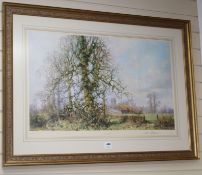 David Shepherd, limited edition print, 'This England', signed in pencil, 387 of 850, 53 x 83cm