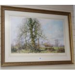 David Shepherd, limited edition print, 'This England', signed in pencil, 387 of 850, 53 x 83cm