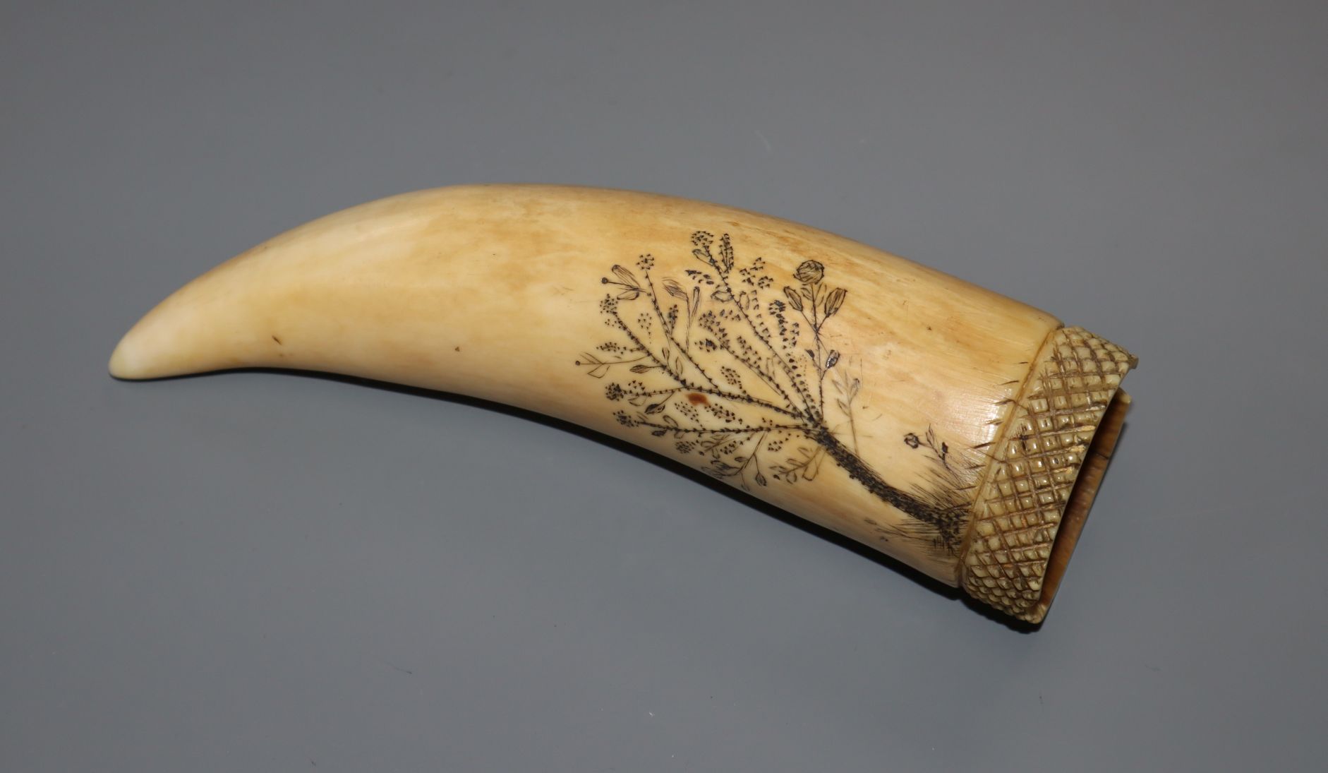 A 19th century scrimshaw sperm whale tooth, 13.5cm