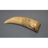 A 19th century scrimshaw sperm whale tooth, 13.5cm