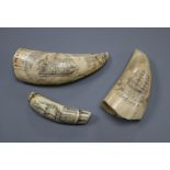 Three Scrimshaw tusks, largest 14cm