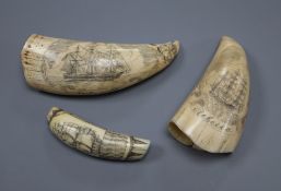 Three Scrimshaw tusks, largest 14cm