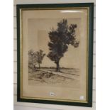 Robert Friedrich Karl Scholtz (1877-57), etching, Trees in a landscape, signed in pencil, 59 x