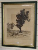 Robert Friedrich Karl Scholtz (1877-57), etching, Trees in a landscape, signed in pencil, 59 x