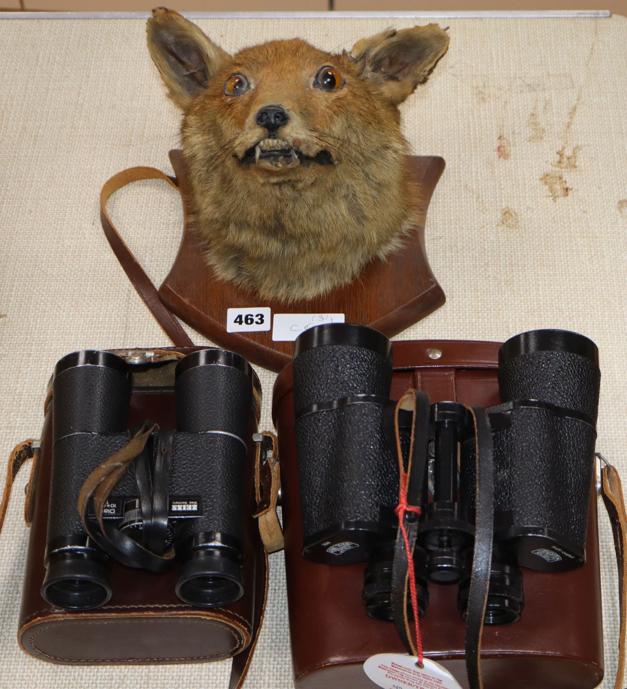 A fox head wall trophy and two pairs of field glasses