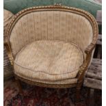 A pair of French gilt tub chairs, W.80cm, D.55cm, H.80cm