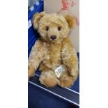 A Steiff teddy bear, yellow tag, boxed