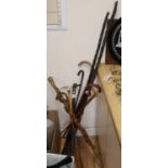 A collection of walking canes