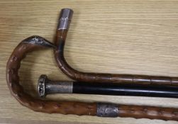 Three silver mounted walking canes, longest 90cm