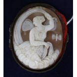 A mid 19th century shell cameo of a fairy