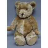 A Chiltern teddy bear