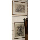 John Callow (1822-1878), two pencil drawings, Studies of oak trees, one monogrammed, 35 x 27cm and