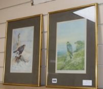 Archibald Thorburn, two colour prints, Birds of Prey, signed in pencil, 28 x 19cmCONDITION: Winter