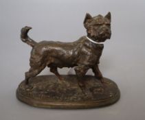 After Pierre Jules Mene. A bronze figure of a terrier, on oval plinth base, height 11cm