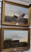 J. Coruch, pair of oils on canvas, Sheep and cattle in pasture, signed, 28 x 44cmCONDITION: Both