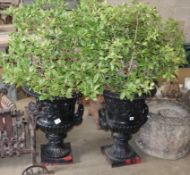 A pair of Victorian black painted cast iron two handled campana shaped garden urns, together with