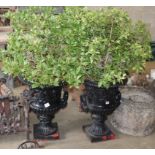 A pair of Victorian black painted cast iron two handled campana shaped garden urns, together with