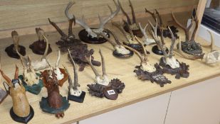 A quantity of taxidermic antlers, horns and deer feet, several on Black Forest mounts