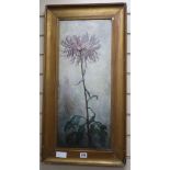 Attributed to Piet Mondrian, oil on panel, Study of a chrysanthemum, monogrammed, 63 x 26cm
