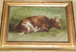 Attributed to Arthur James Stark (1831-1902), a small oil on board study of a cow in a byre