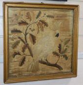 A Georgian silkwork picture of a parrot on a perch, framed, 36cm sq.