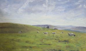 Neil Tyler (1945-), oil on board, Sheep in landscape, a coastal sketch verso, signed and dated '