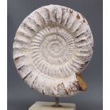 A painted cast ammonite sculpture, total height 44cm