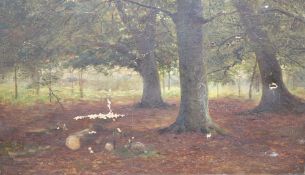 English School c.1900, oil on canvas, Woodland scene, 30 x 48cm, unframedCONDITION: Rather dirty