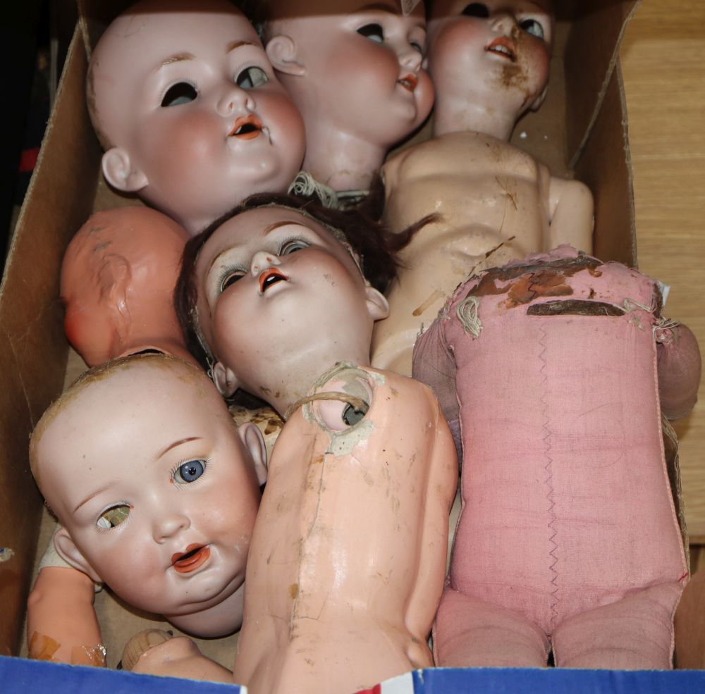 Assorted dolls heads, (mostly a.f.) and two part bodies