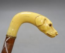 A carved ivory dog's head walking stick, c.1860, length 33cm