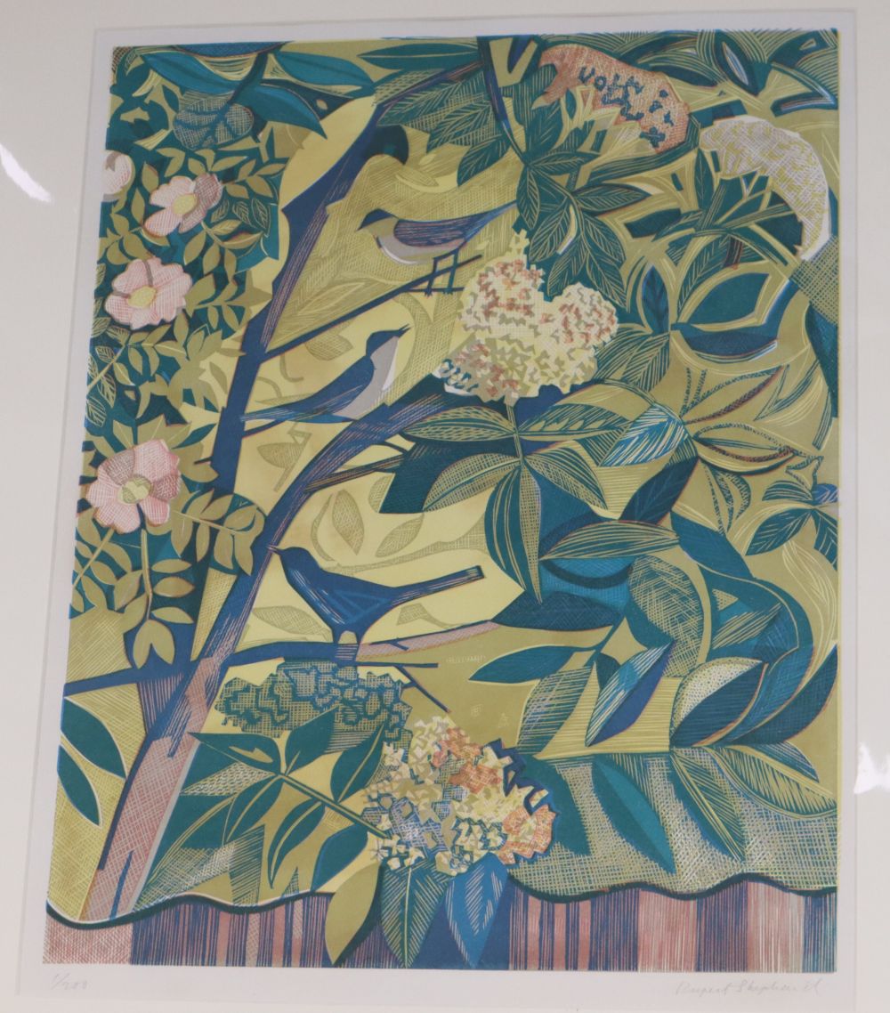 Rupert Shepherd, colour woodcut, Birds amongst flowering plants, signed in pencil, 1/200, 50 x 39cm,