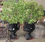 A pair of Victorian black painted cast iron two handled campana shaped garden urns, together with