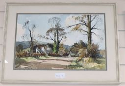Edward Wesson (1910-1983), ink and watercolour, Washington from Old Storrington Road, signed, 31 x