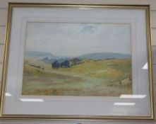 John Charles Dollman (1851-1934), watercolour, Sheep on the downs, signed, 38 x 54cm