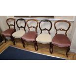 Five (three plus two) Victorian balloon back dining chairs