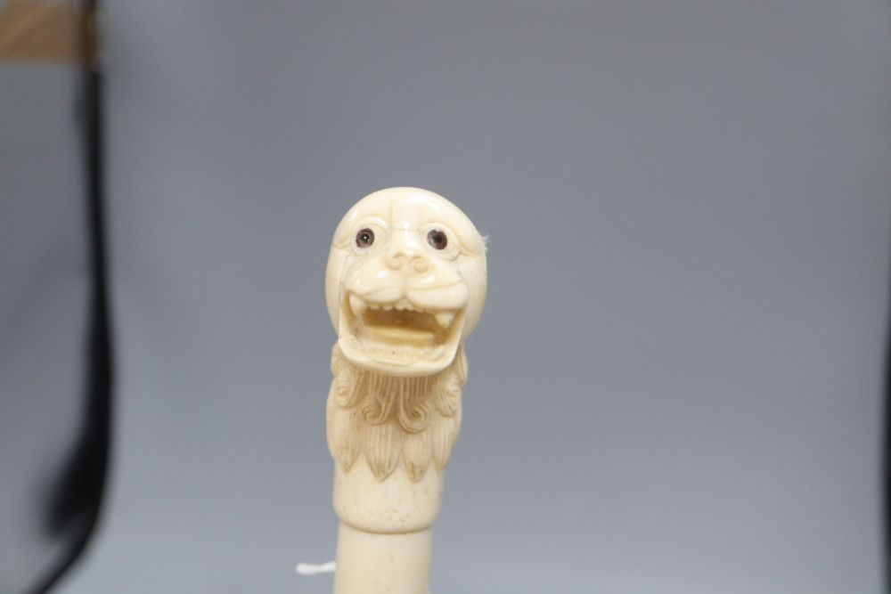 An Indian bone walking cane, with dog handle, c.1960, length 92cm - Image 2 of 8