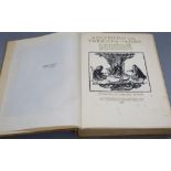 Seigfried and the Twilight of the Gods, illustrated by Rackham