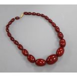 A single strand graduated simulated cherry amber necklace, 38cm, gross weight 50 grams.