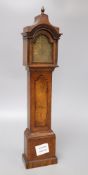 A mahogany and burr walnut miniature longcase clock, with Elgin watch movement, height 46cm