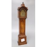 A mahogany and burr walnut miniature longcase clock, with Elgin watch movement, height 46cm