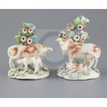 A near pair of Derby groups of a cow and calf, c.1760-5, on flower encrusted bases, patch marks,