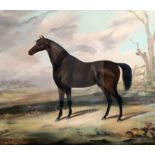 English School (19th century)oil on canvasDark bay horse in a winter landscape21in x 24.