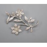 An 18ct white gold and diamond flower spray brooch, in Catchpole & Williams box, 4cm, gross 5.8