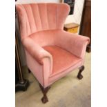 A Queen Anne style scallop back armchair with claw and ball feet, W.78cm