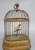 A late 19th century singing bird automaton, with gilt cage, height 26cm