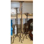 Three wrought iron stem pricket candlesticks, tallest 77cm