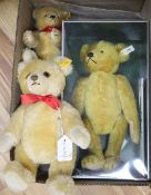 A Limited edition Steiff Petzy with box, certificate, and two Steiff yellow tag bears