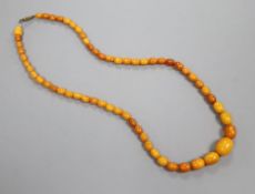 A small amber bead necklace, 18.3g gross