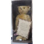 A Steiff British collectors bear box and certificate