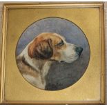 Minnie Rosa Bebb (1857-1938), portrait of a foxhound, watercolour, signed and dated 1886, framed